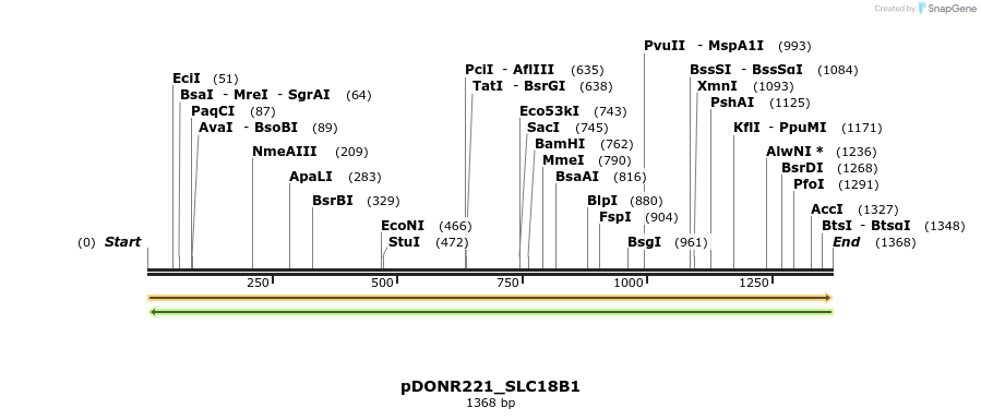 253442_map