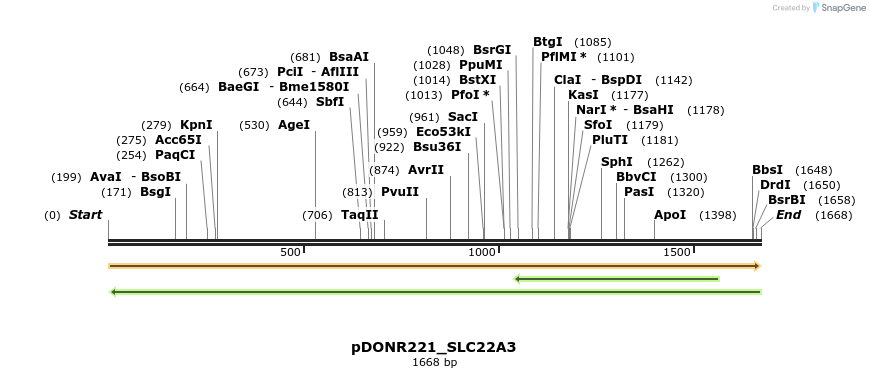 253448_map