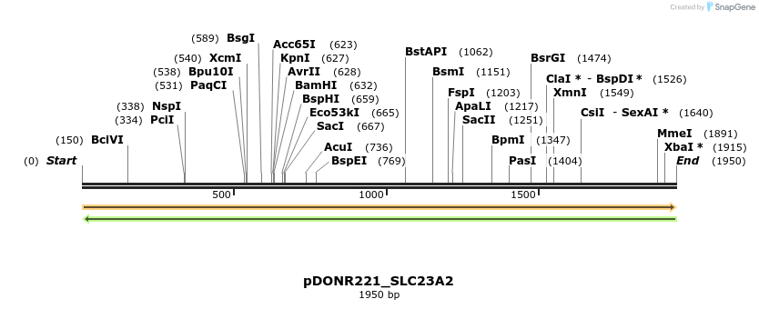 253450_map