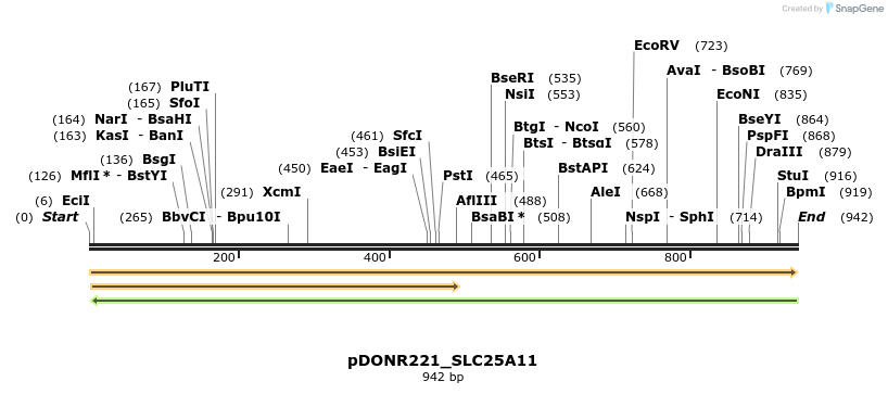 253452_map