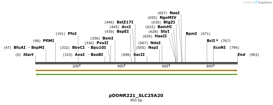 253454_map