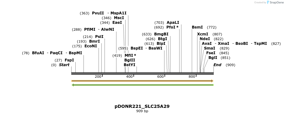 253456_map
