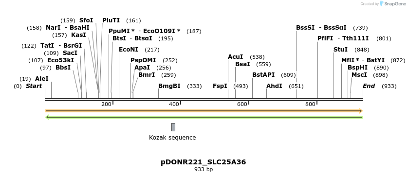 253458_map