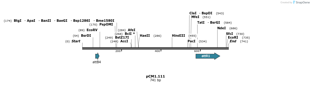 25346_map