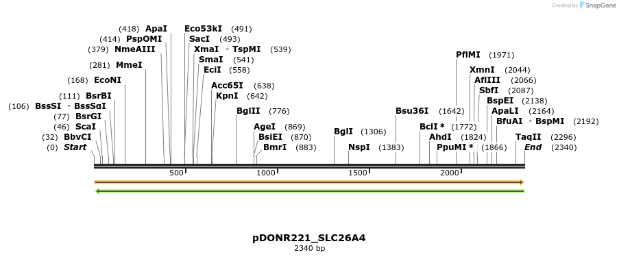 253464_map