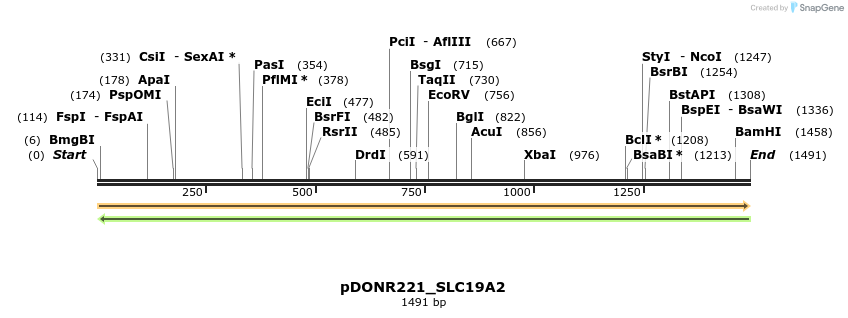 253466_map