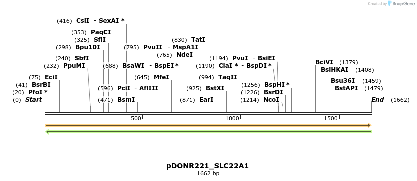 253468_map