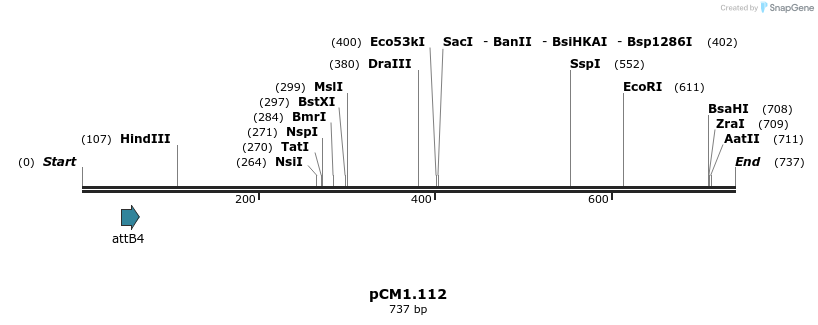 25347_map