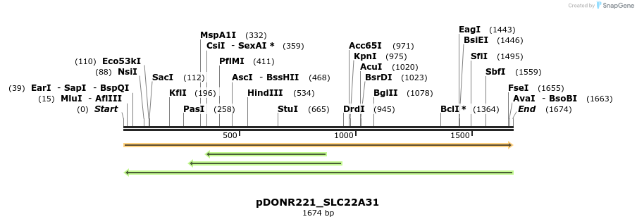 253472_map