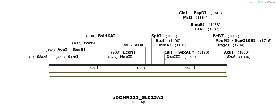 253474_map