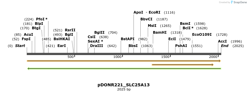 253476_map