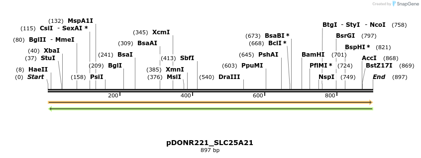 253478_map