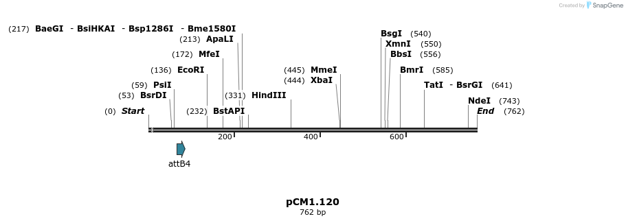 25348_map