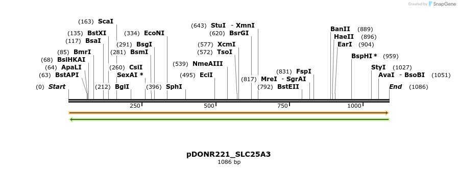 253480_map