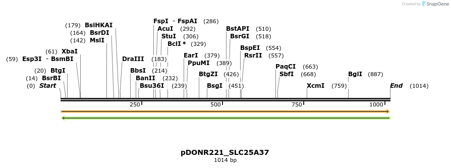 253482_map