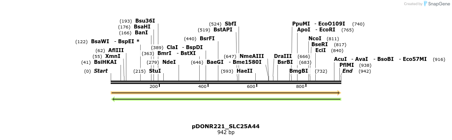 253484_map