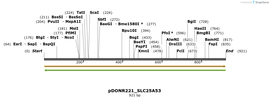253486_map