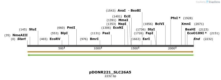 253488_map