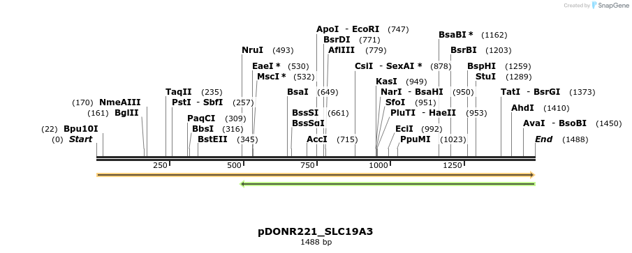 253490_map