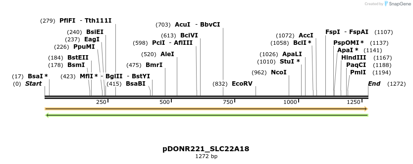 253494_map