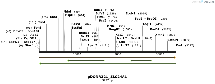 253498_map