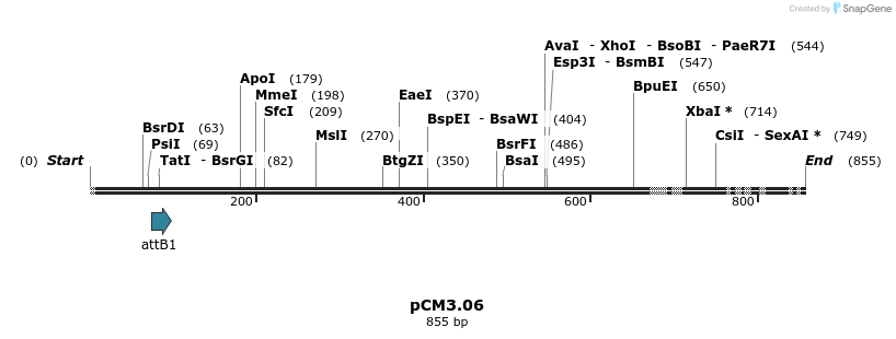 25350_map