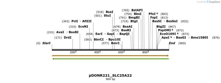 253502_map
