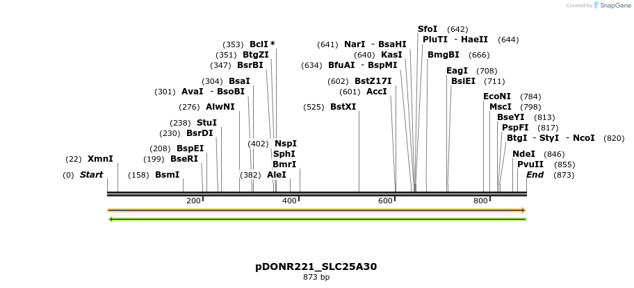 253504_map
