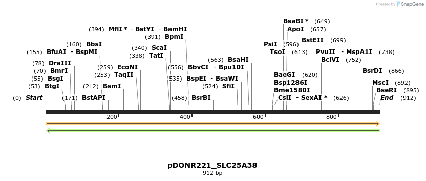253506_map