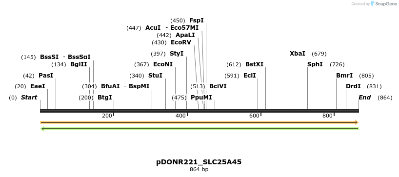 253508_map