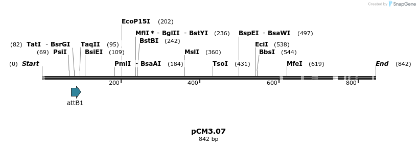 25351_map