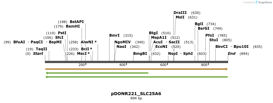 253510_map