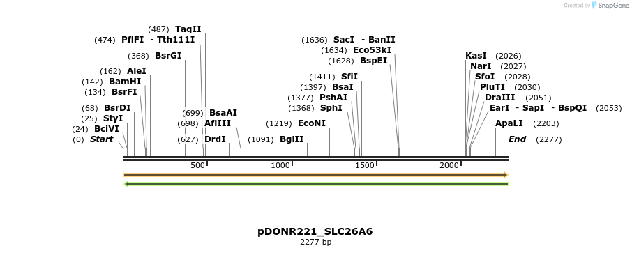253512_map