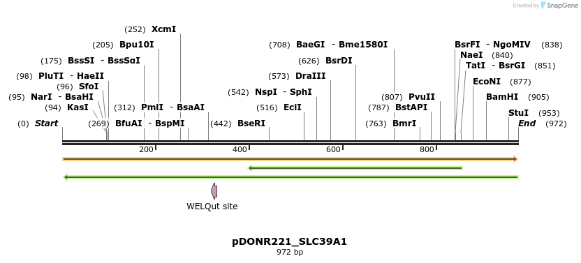253516_map