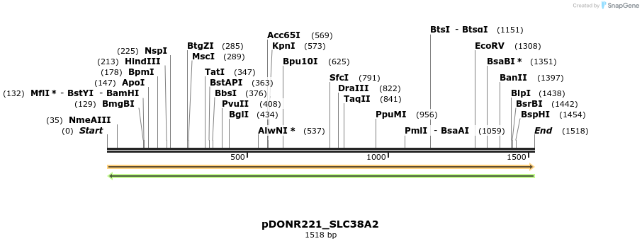 253518_map
