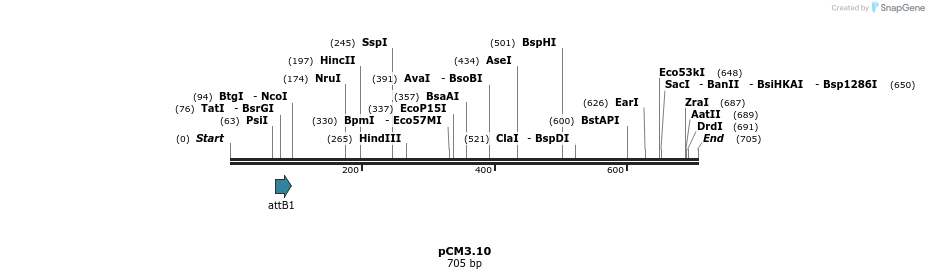 25352_map