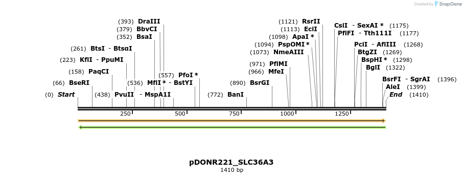 253520_map