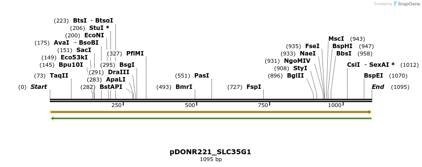 253522_map