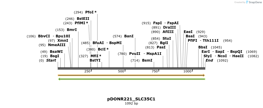 253526_map