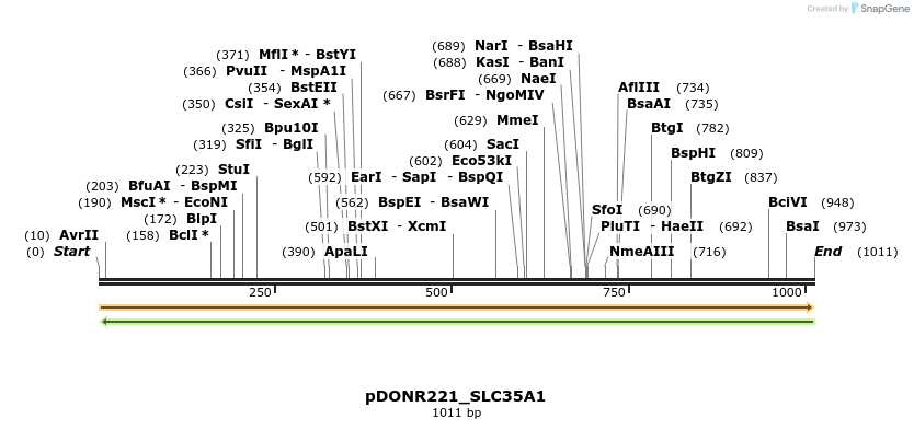 253528_map