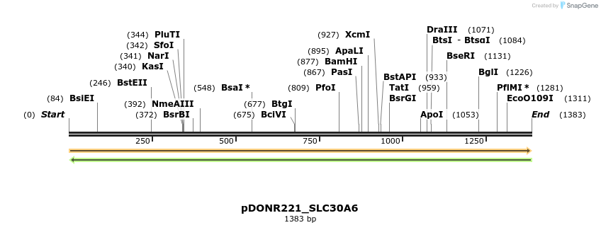 253530_map
