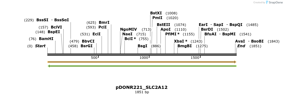 253534_map
