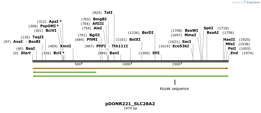 253536_map