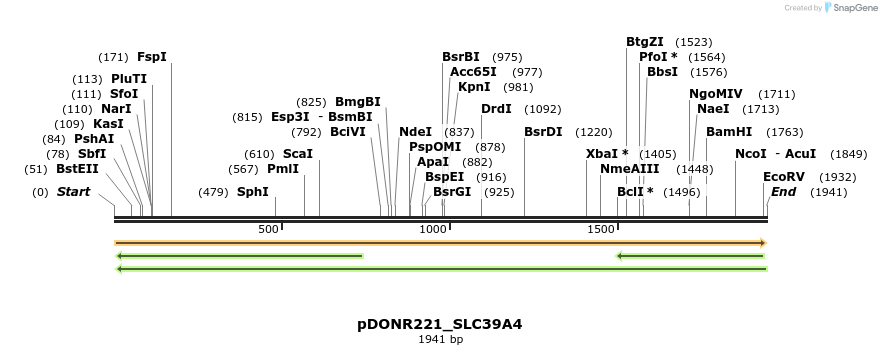 253538_map