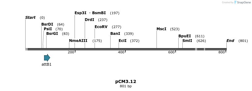 25354_map