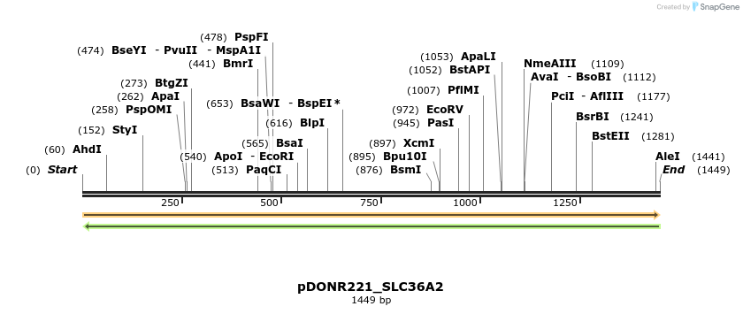 253544_map