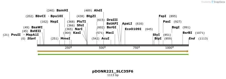 253546_map