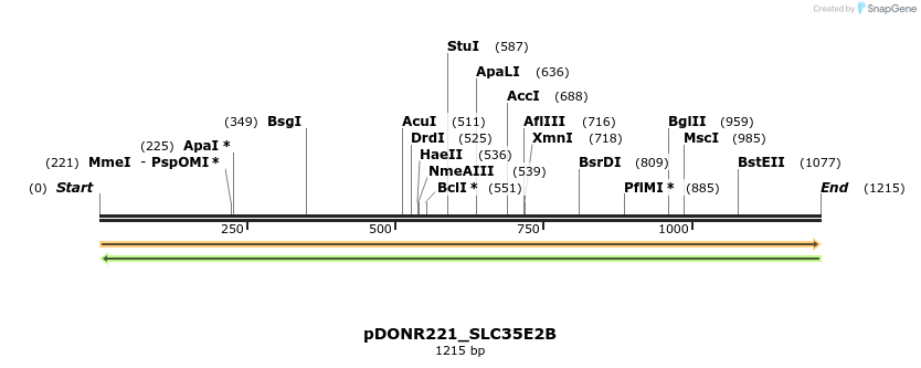 253548_map