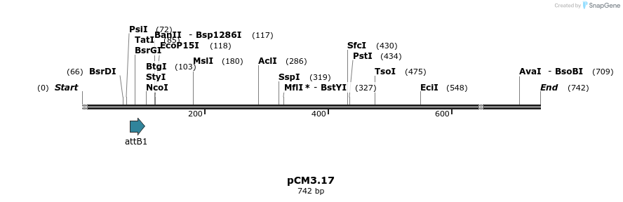 25355_map