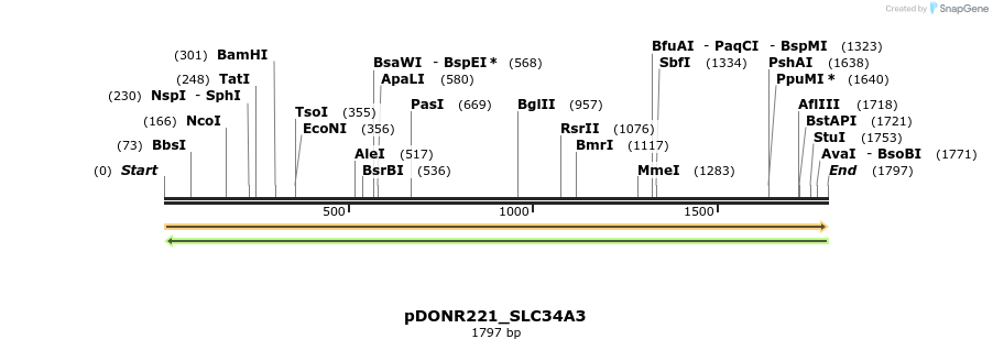 253552_map